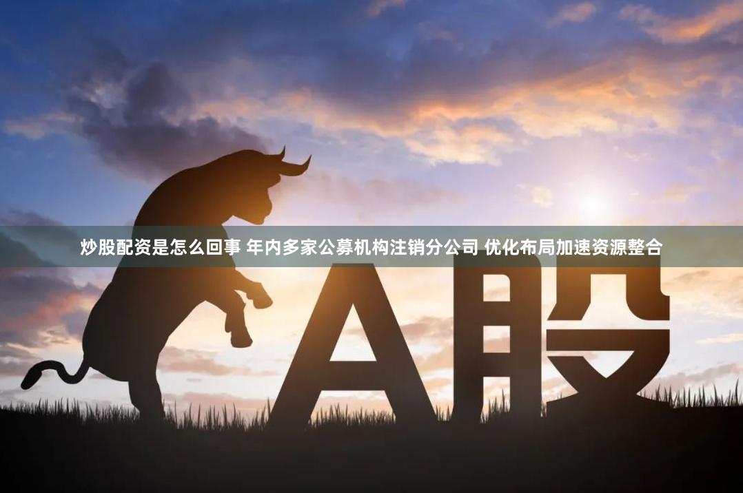 炒股配资是怎么回事 年内多家公募机构注销分公司 优化布局加速资源整合